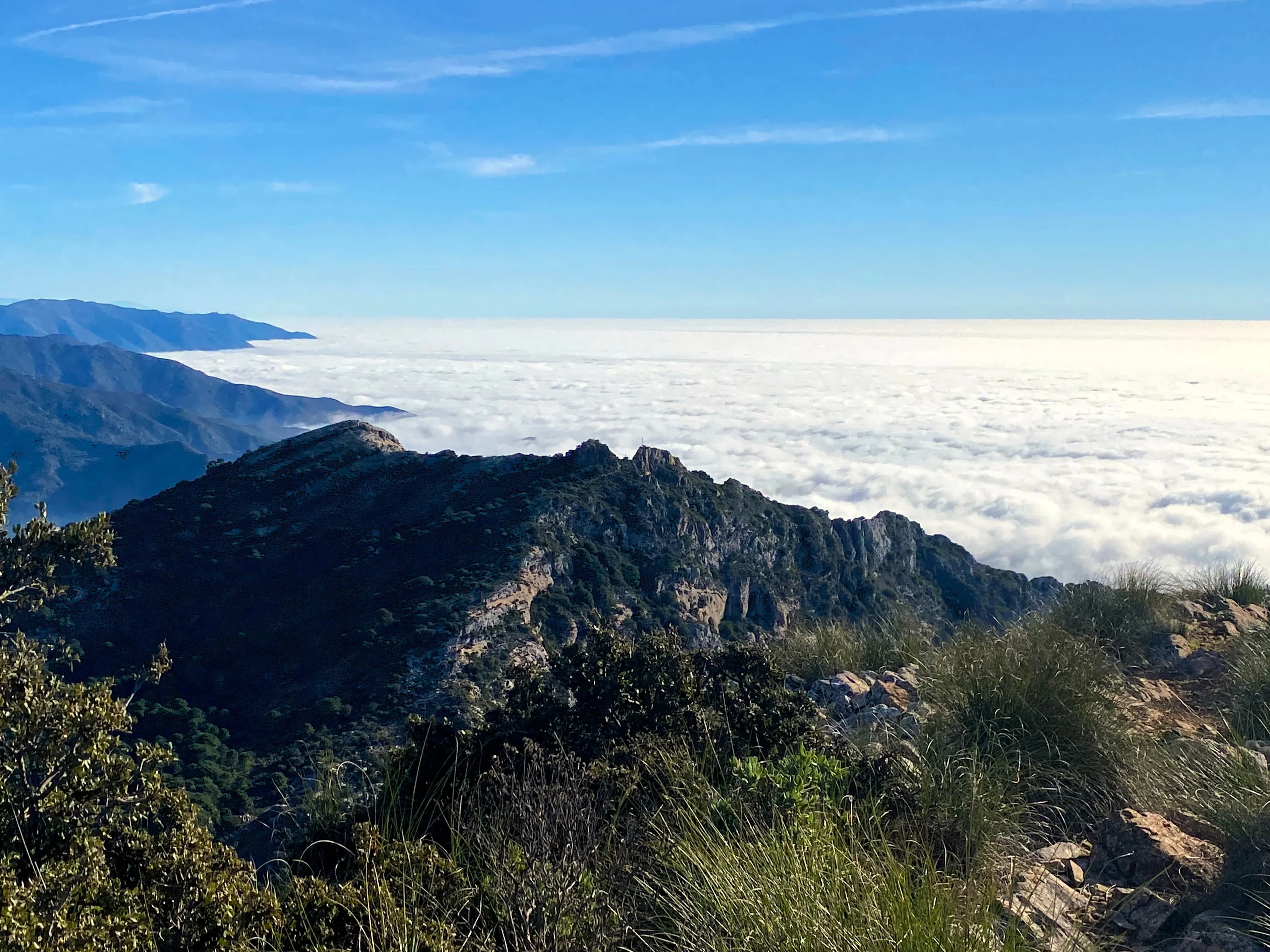 Hiking La Concha - Nature surrounding la concha peak