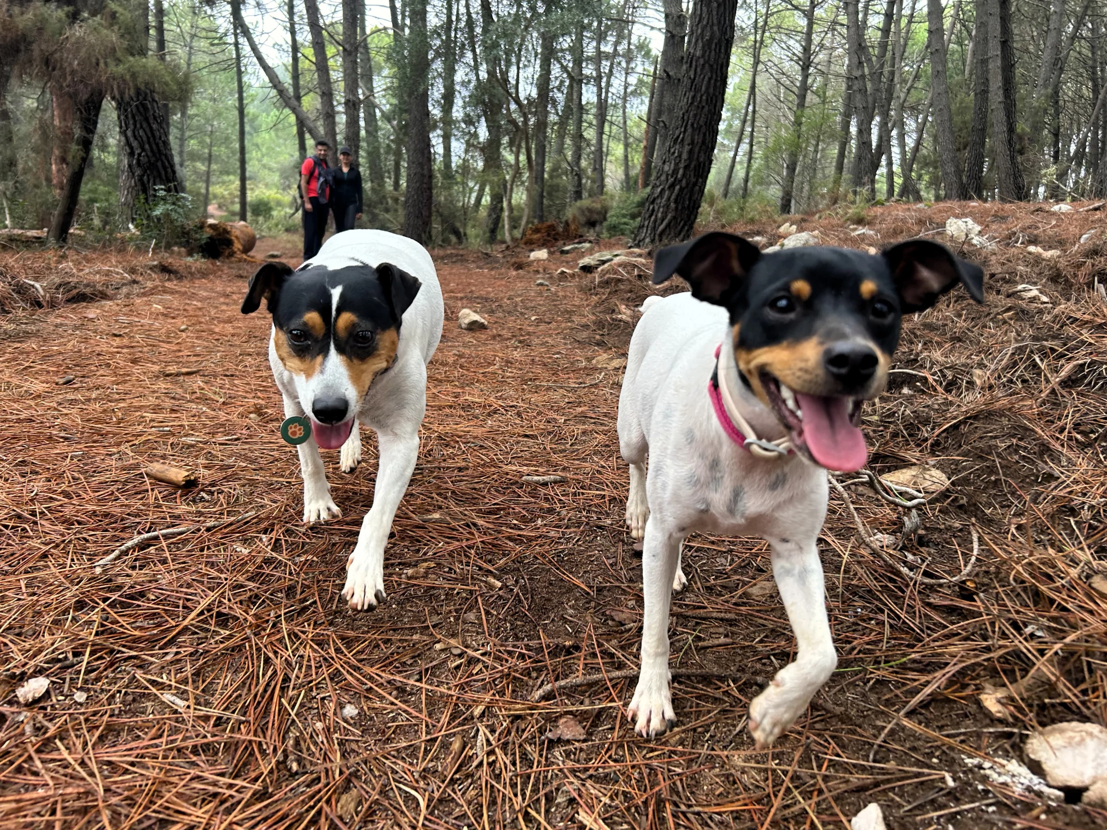 Hiking La Concha - Serene landscapes near la concha peak