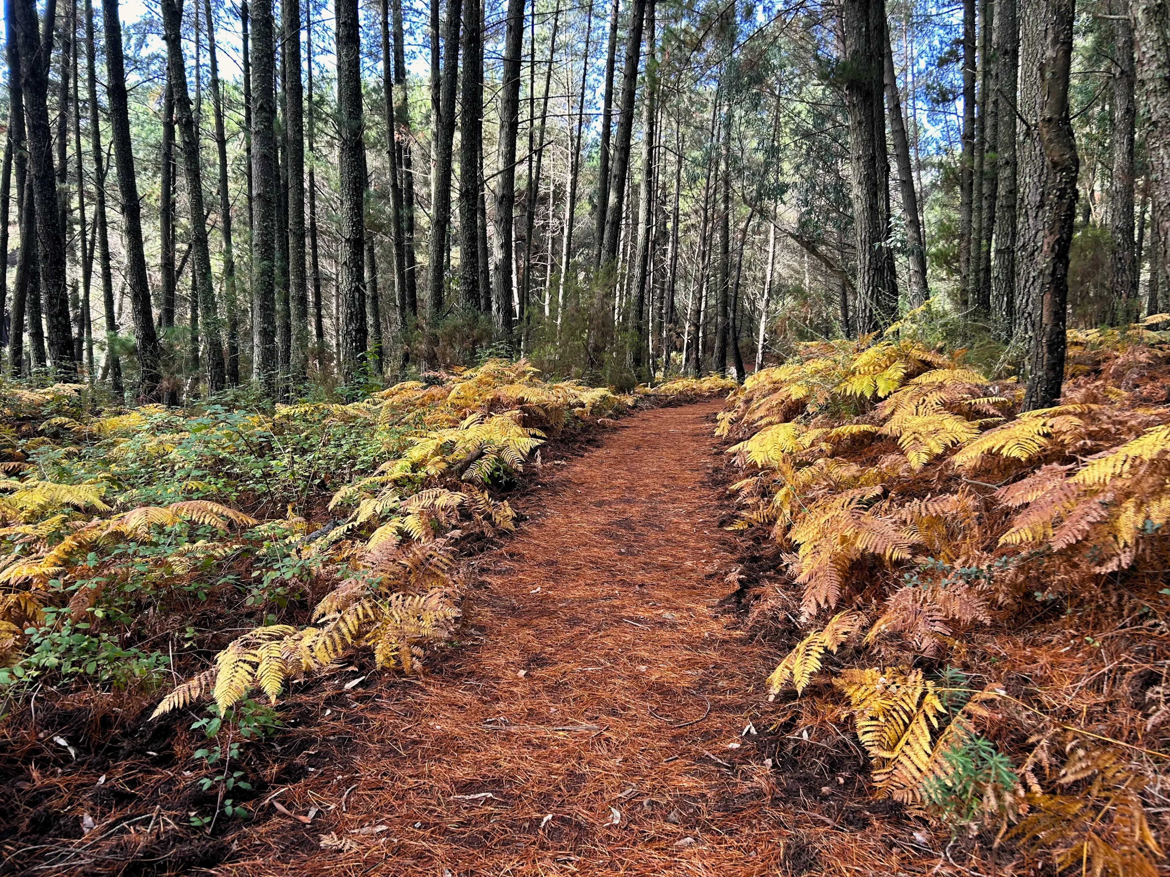 Hiking La Concha - Hikers enjoying the ascent to la concha peak