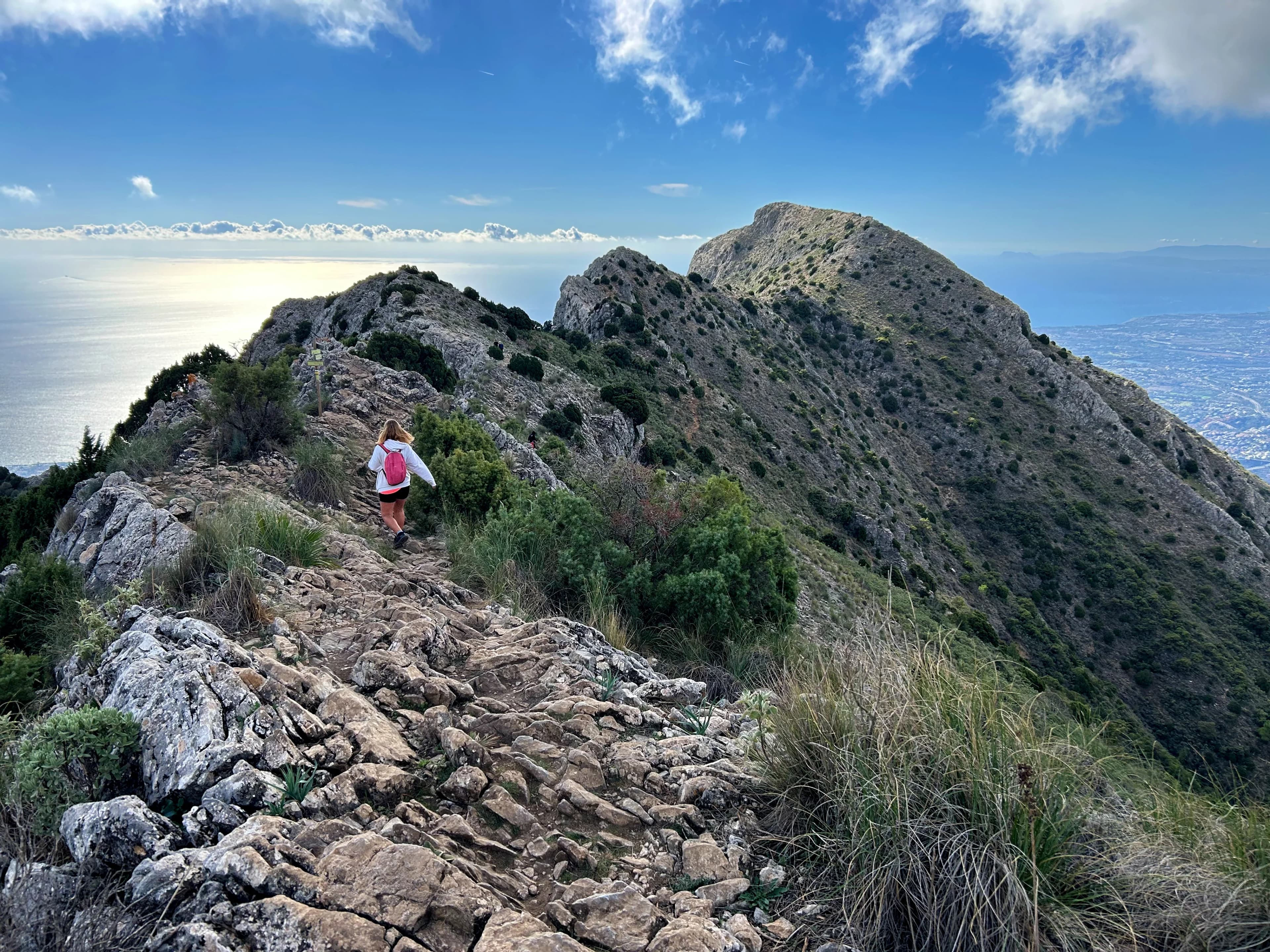 Hiking La Concha - Flora and fauna near la concha peak