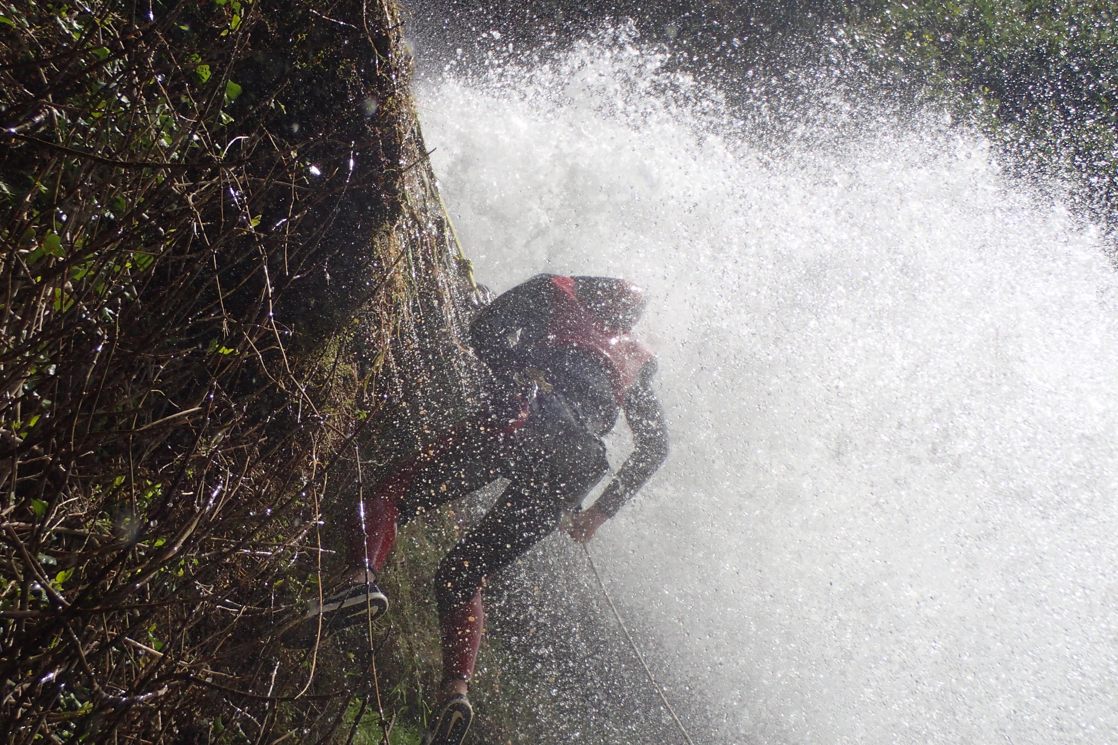 Tajo de Ronda - Nature in Ronda canyon