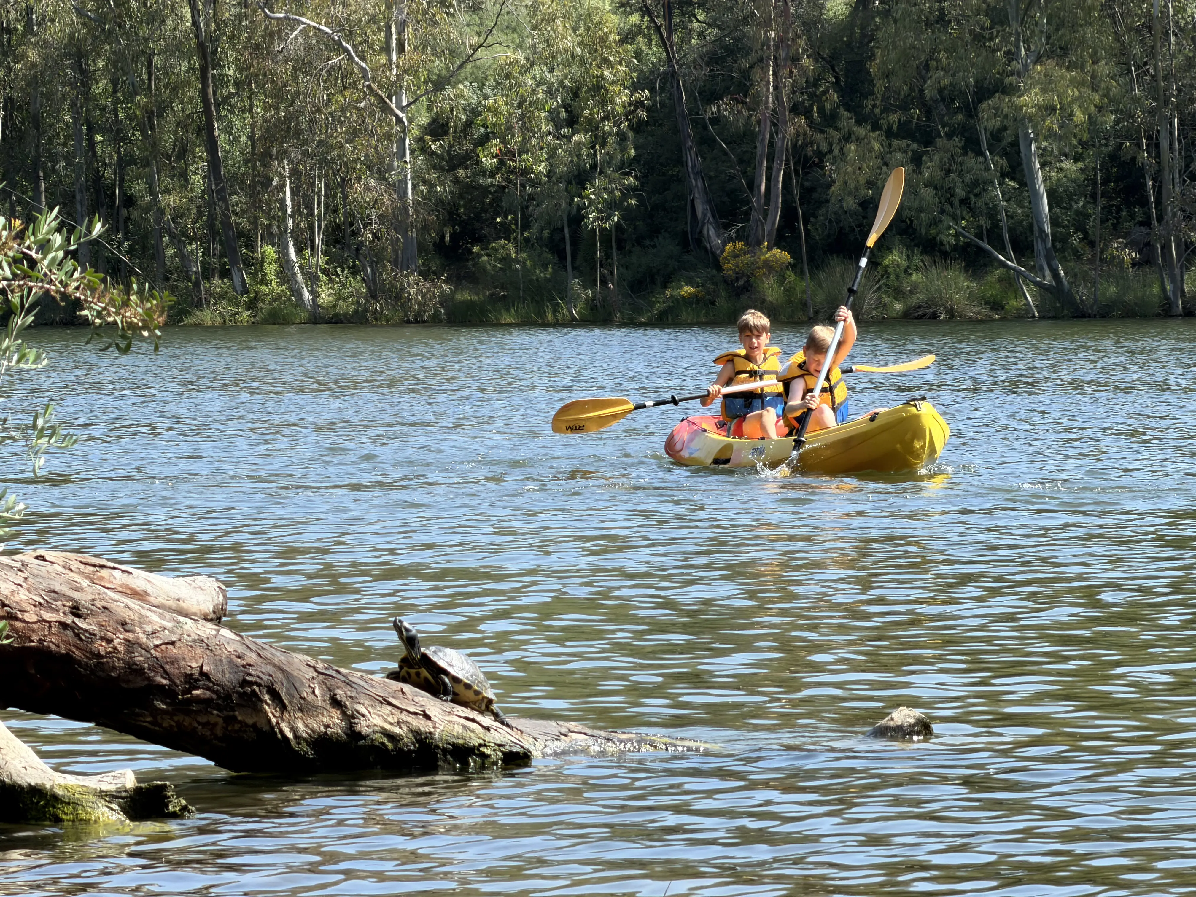 TUUR Summer Camp — outdoor activities